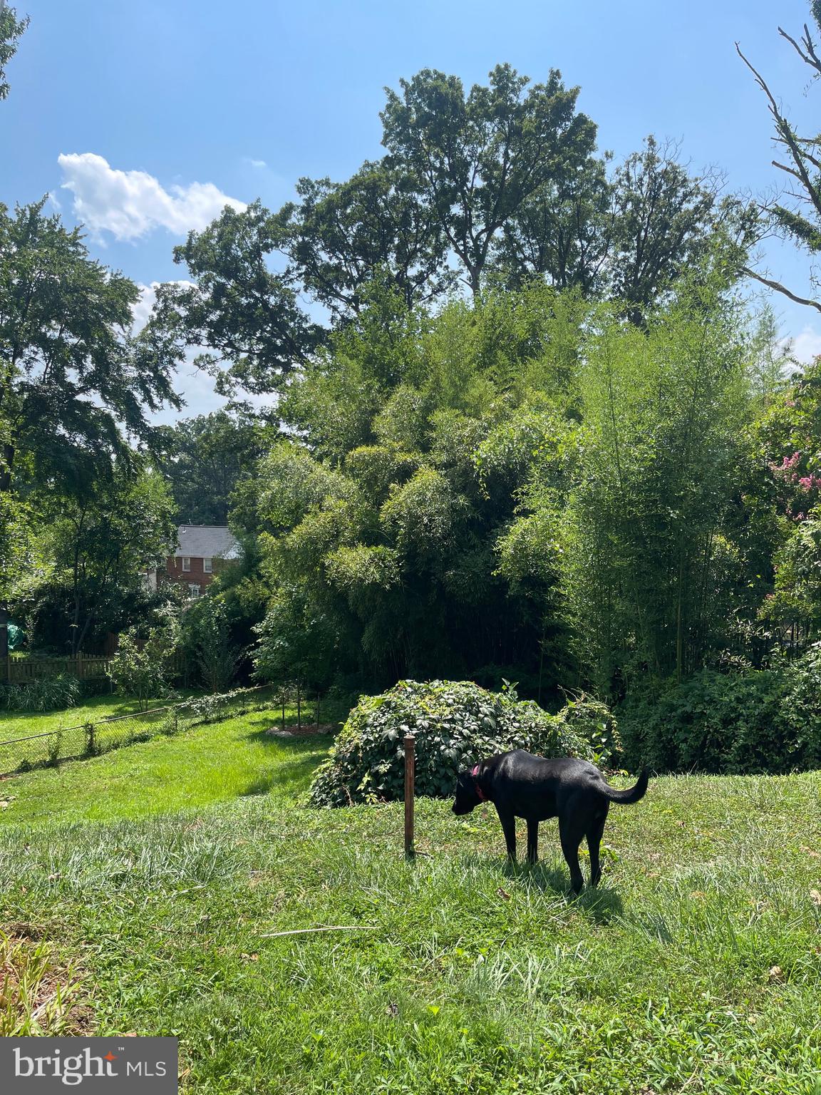 CHEVERLY - Residential