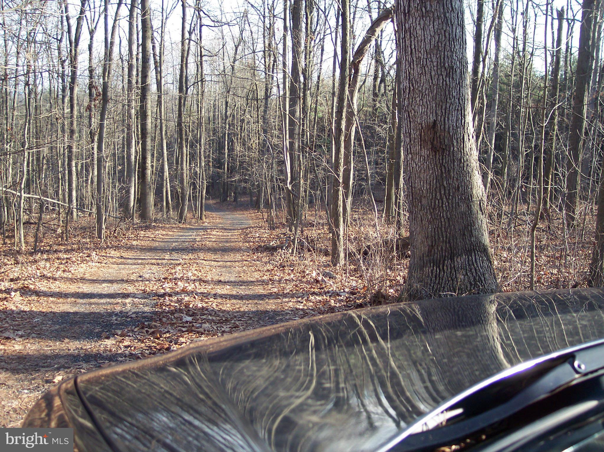 RINEHART RIDGE - Residential