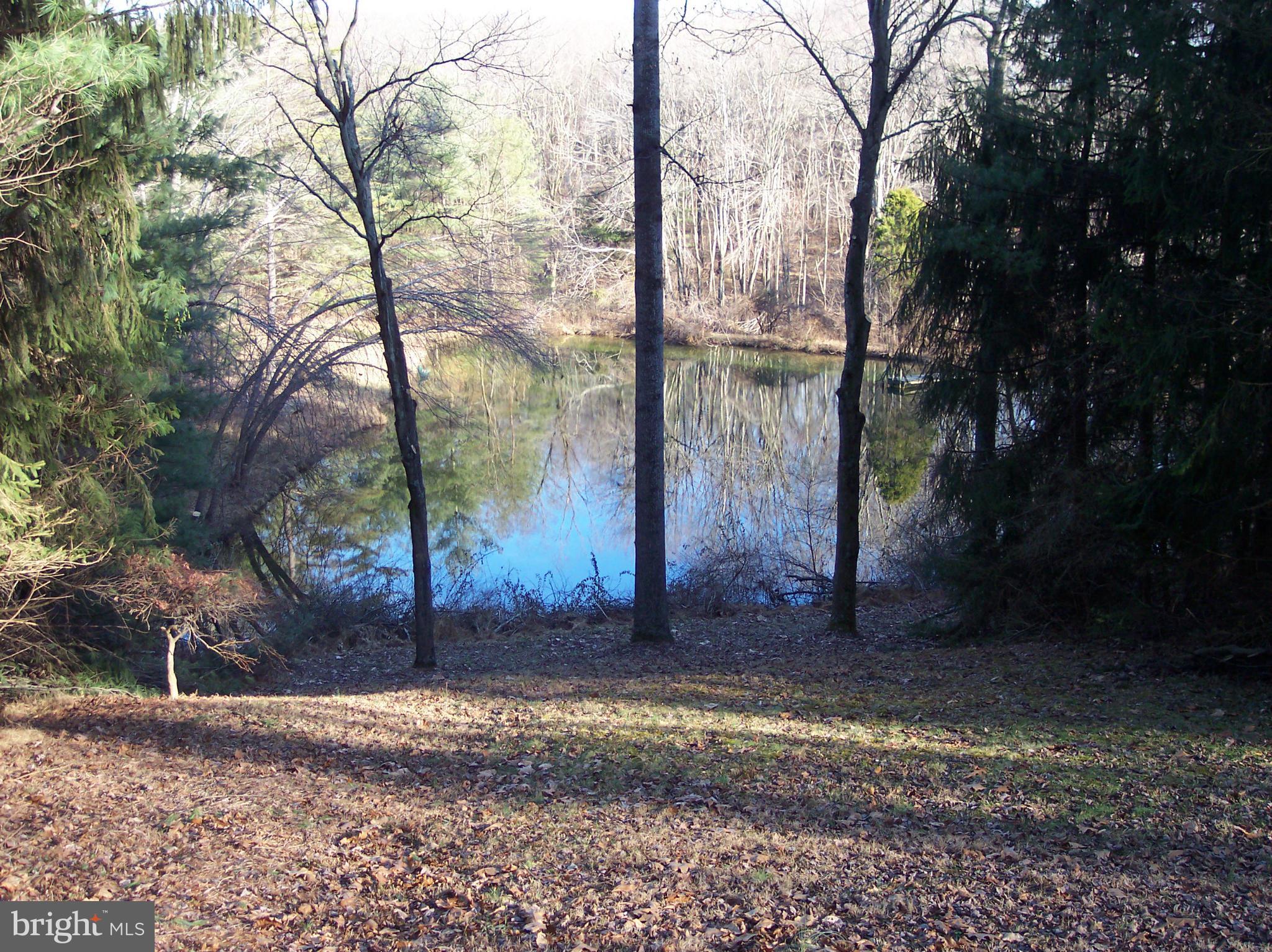 RINEHART RIDGE - Residential