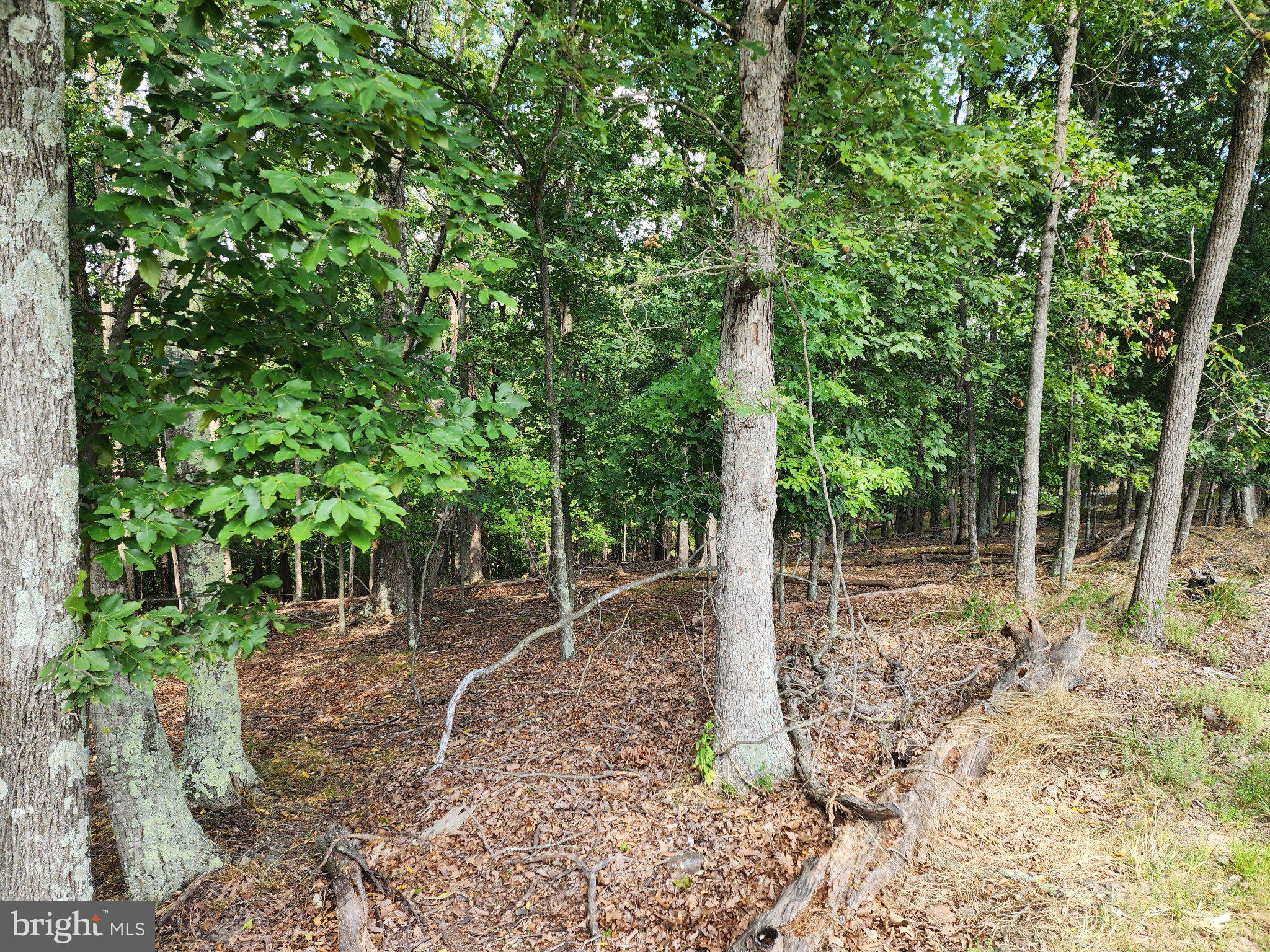 2.53 ACRES TIMBER RIDGE ROAD
