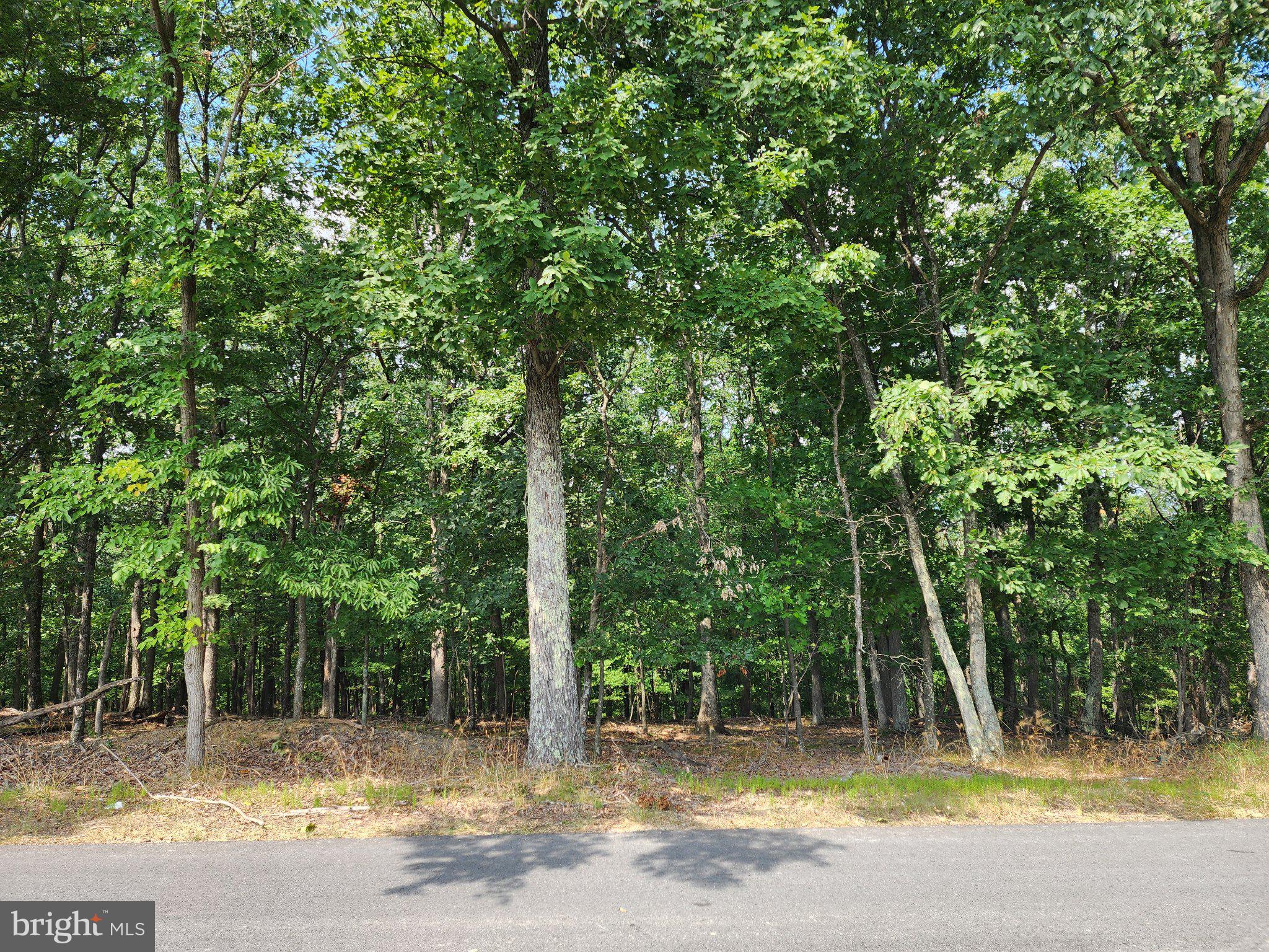 2.53 ACRES TIMBER RIDGE ROAD