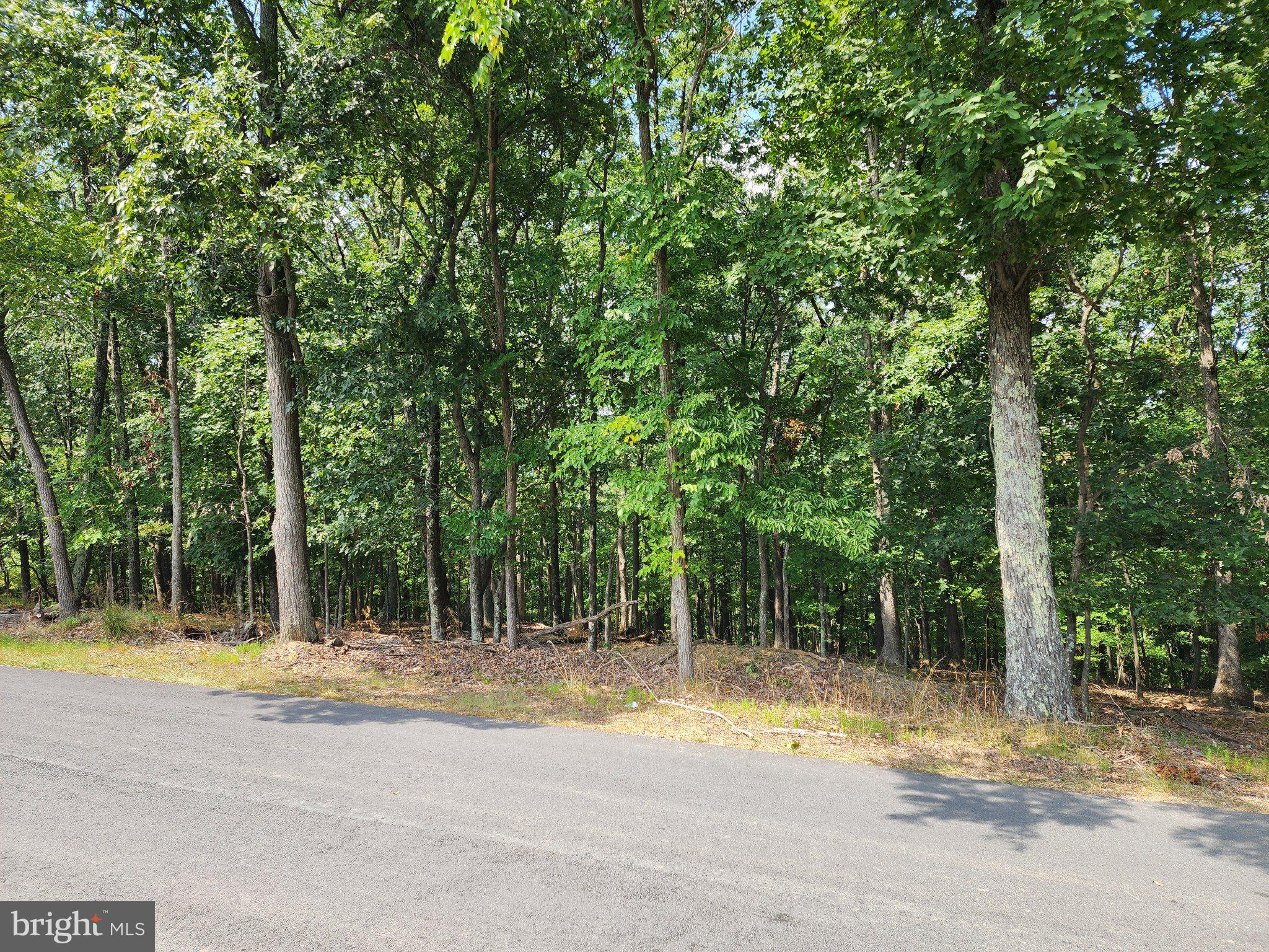 2.53 ACRES TIMBER RIDGE ROAD