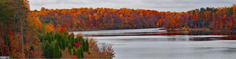 TRIPLE RIDGE - Residential