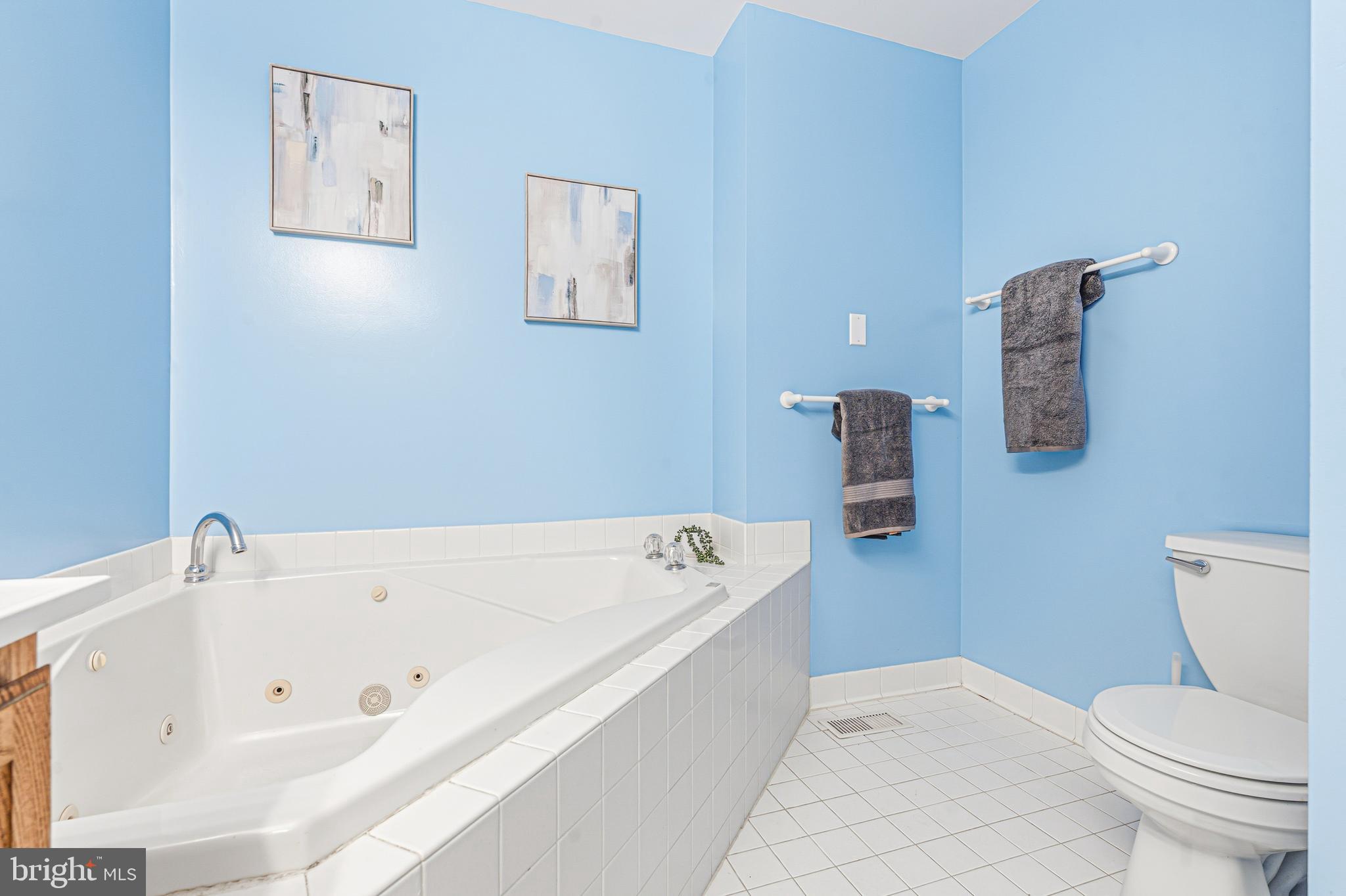 VILLAGE OF HICKORY RIDGE - Residential