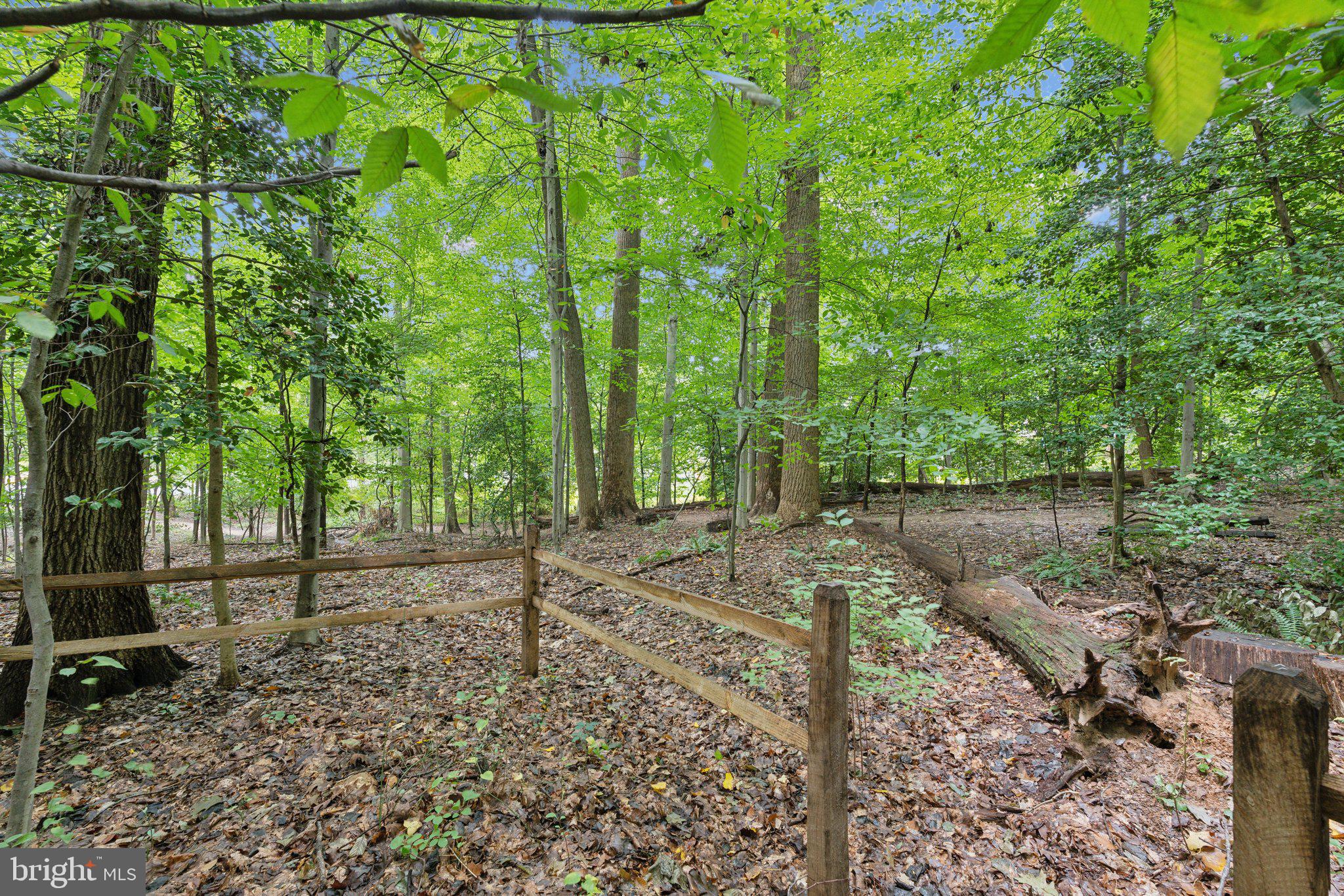 ROCK CREEK FOREST - Residential