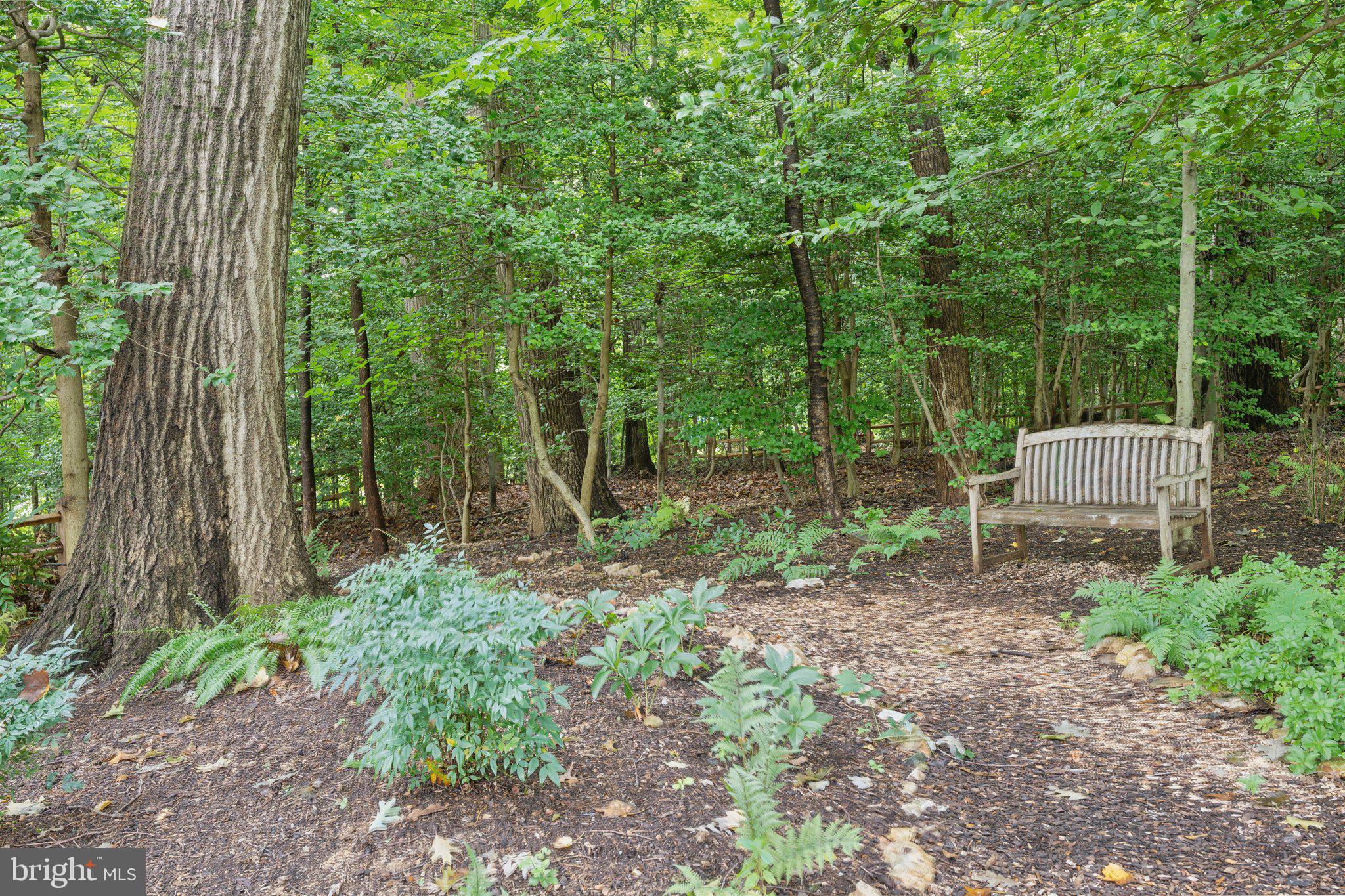 ROCK CREEK FOREST - Residential