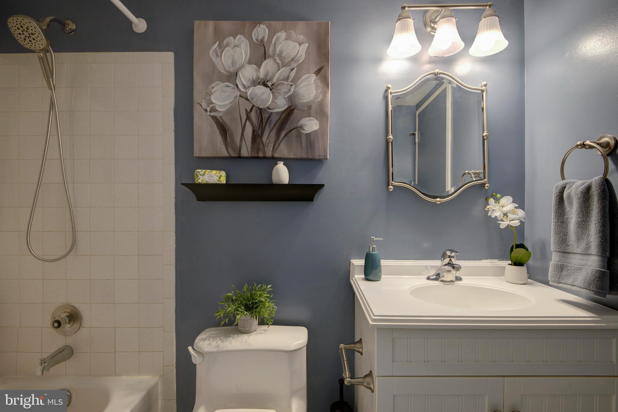 PAINTERS CROSSING - Residential