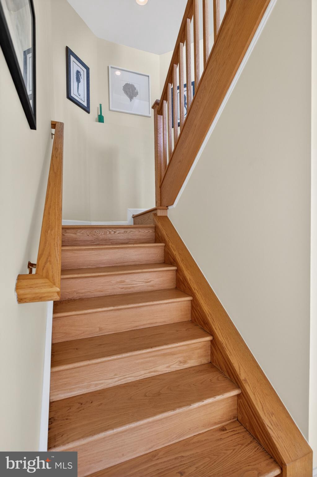 SOUTH REHOBOTH - Residential