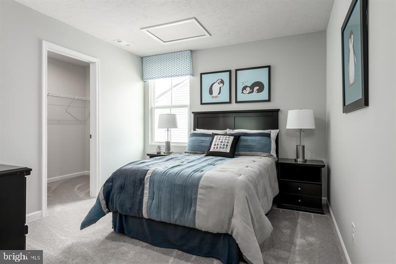 RIDGELY FOREST - Residential