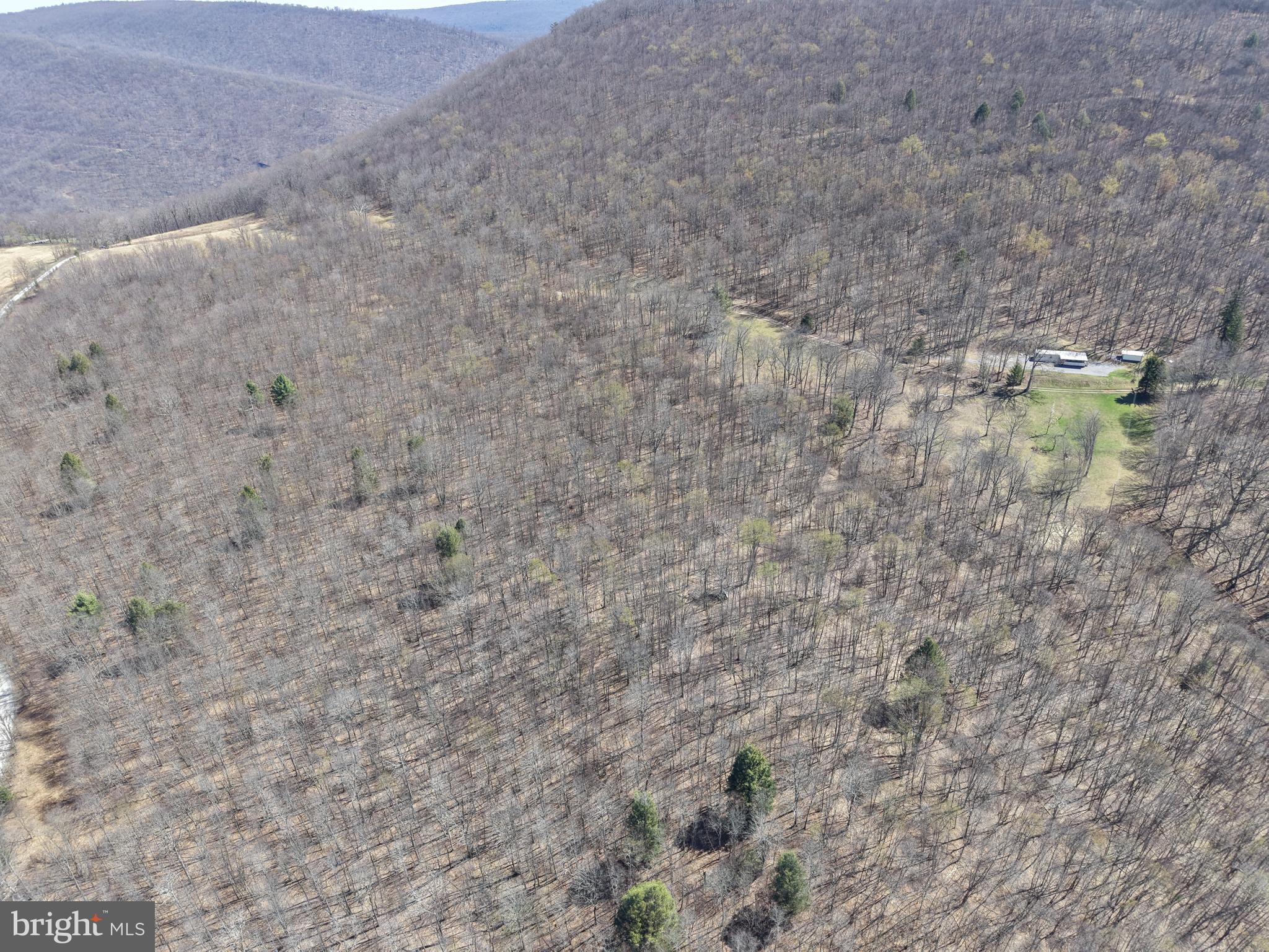 TRACT 2: 40+/- ACRES OFF OF TOOLAND RD