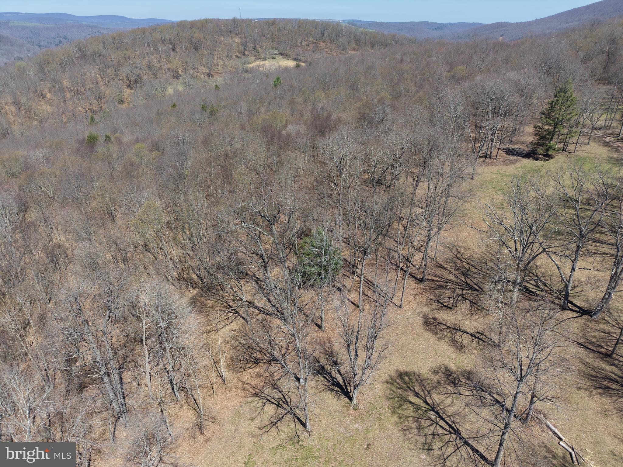 TRACT 2: 40+/- ACRES OFF OF TOOLAND RD