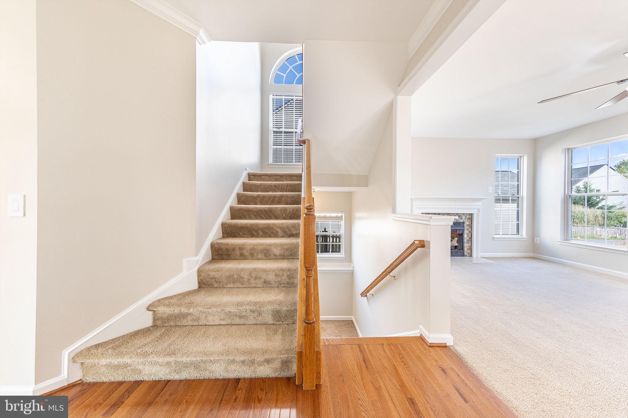 NEW TOWN MEADOWS - Residential