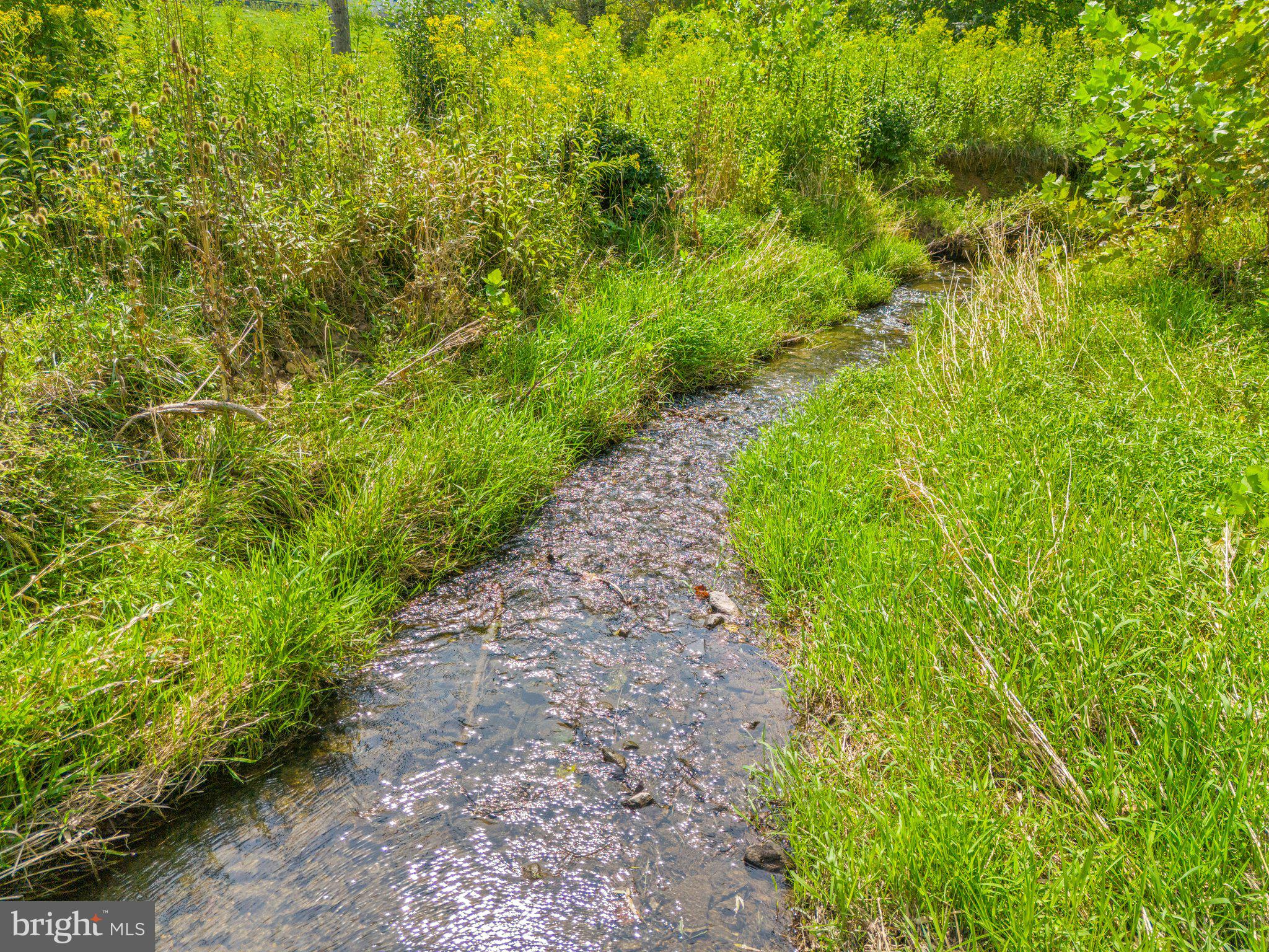 MILL CREEK - Residential