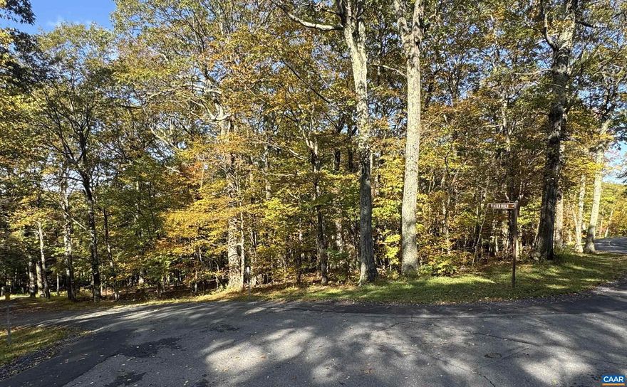 Build your mountain getaway or full-time home on this peaceful 0.43-acre wooded lot in Wintergreen Resort. The property features gentle terrain, public water and sewer access, and a convenient location close to golf, tennis, hiking trails, and resort amenities. Enjoy privacy surrounded by nature while being just minutes from restaurants, the Wintergarden Spa, and all that Wintergreen offers year-round. A great opportunity for an efficient and beautiful build in a well-established community!,Deer Springs Subdivision