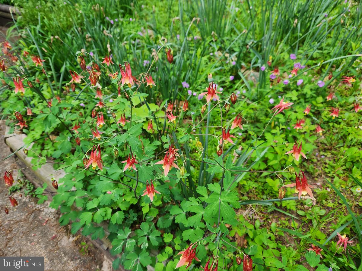SUNDANCE MOUNTAIN - Residential
