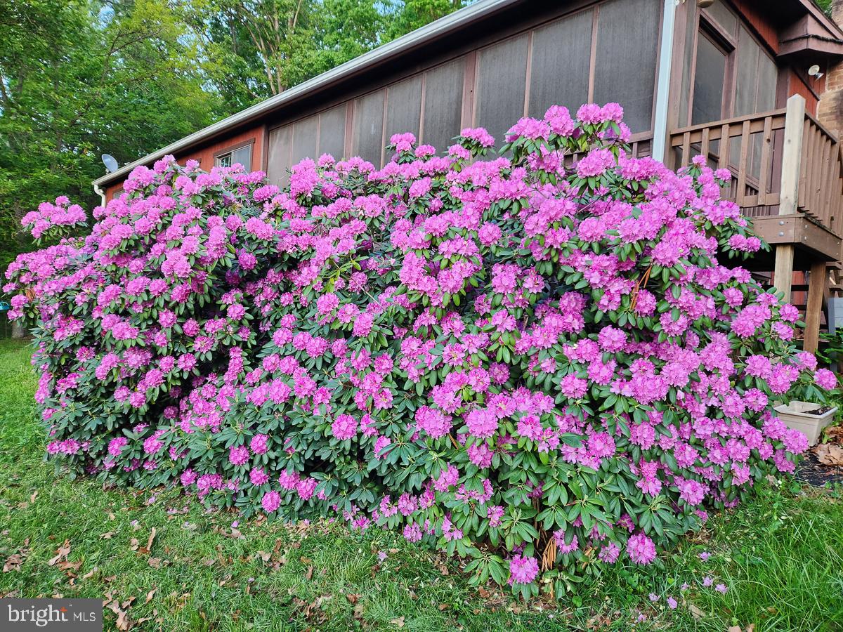 SUNDANCE MOUNTAIN - Residential