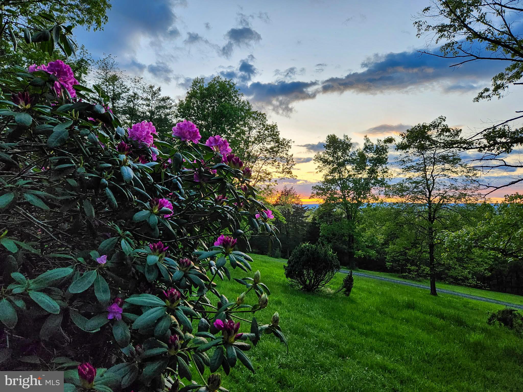 SUNDANCE MOUNTAIN - Residential