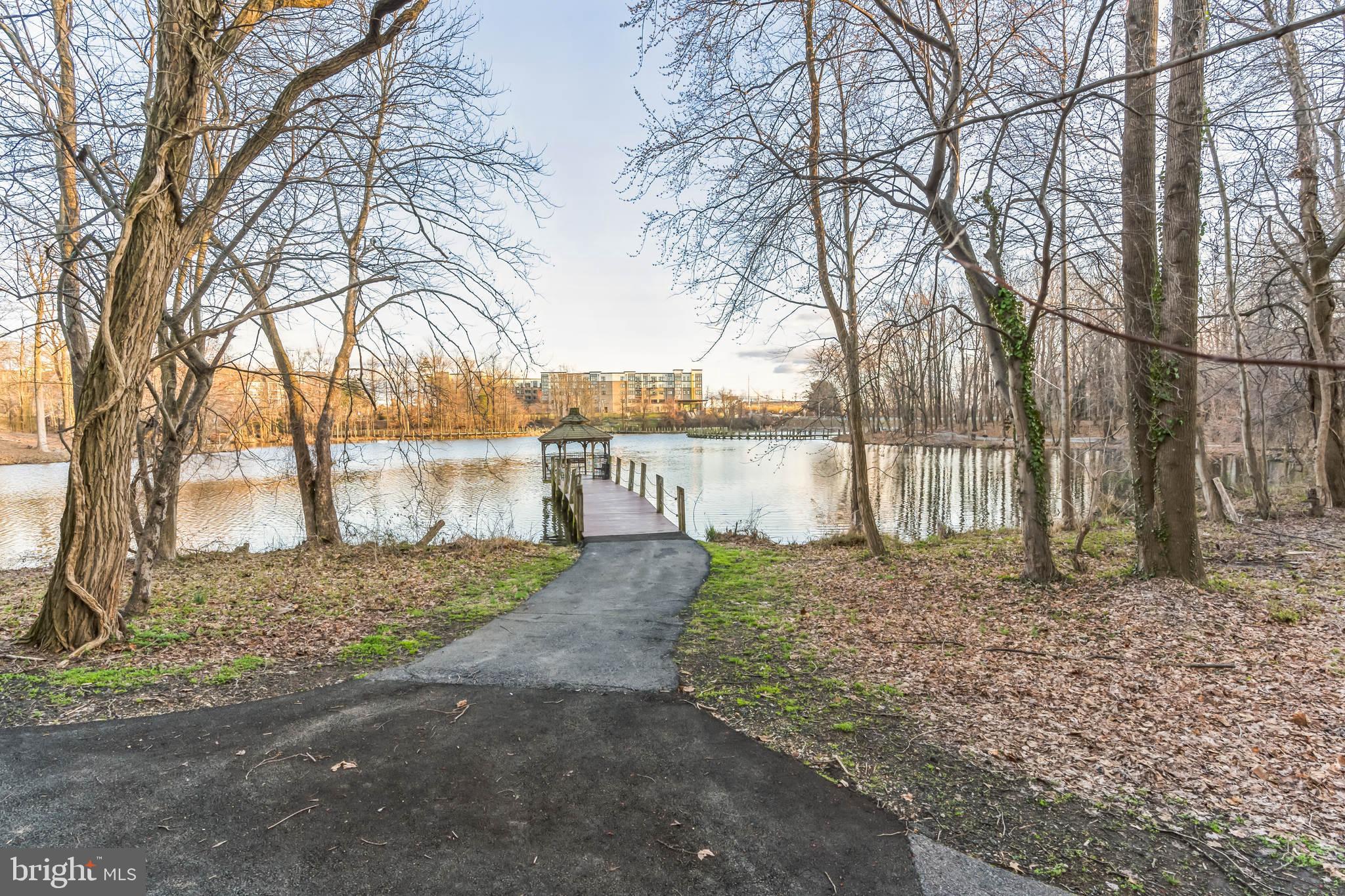LARGO TOWN CENTER CONDOMINIUMS - Residential