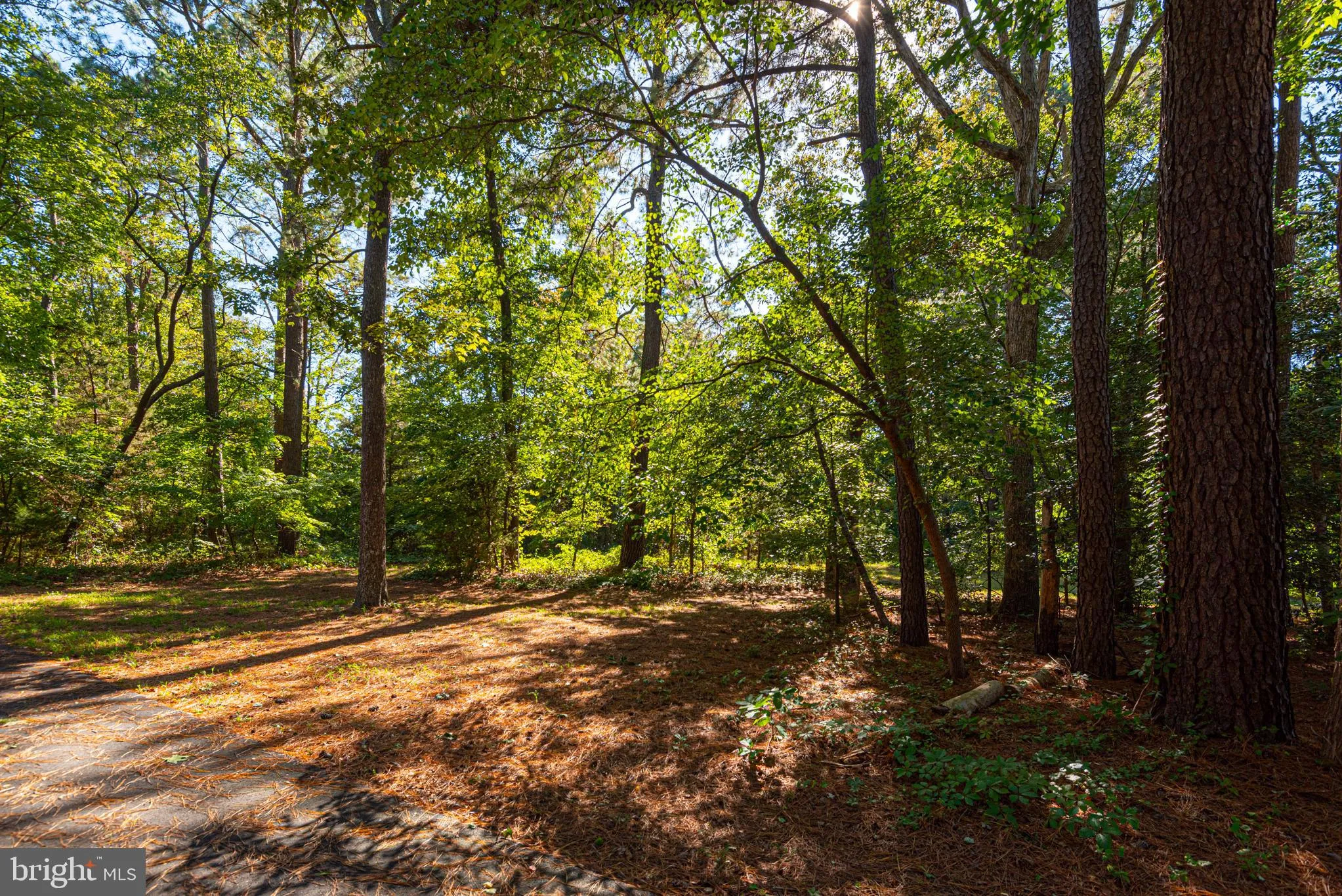 Snow Hill, Maryland 21863, United States, 4 Bedrooms Bedrooms, ,4 BathroomsBathrooms,Residential,Contingent,206941