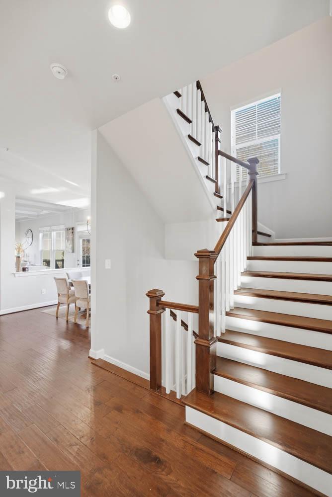 SARANAC - Residential