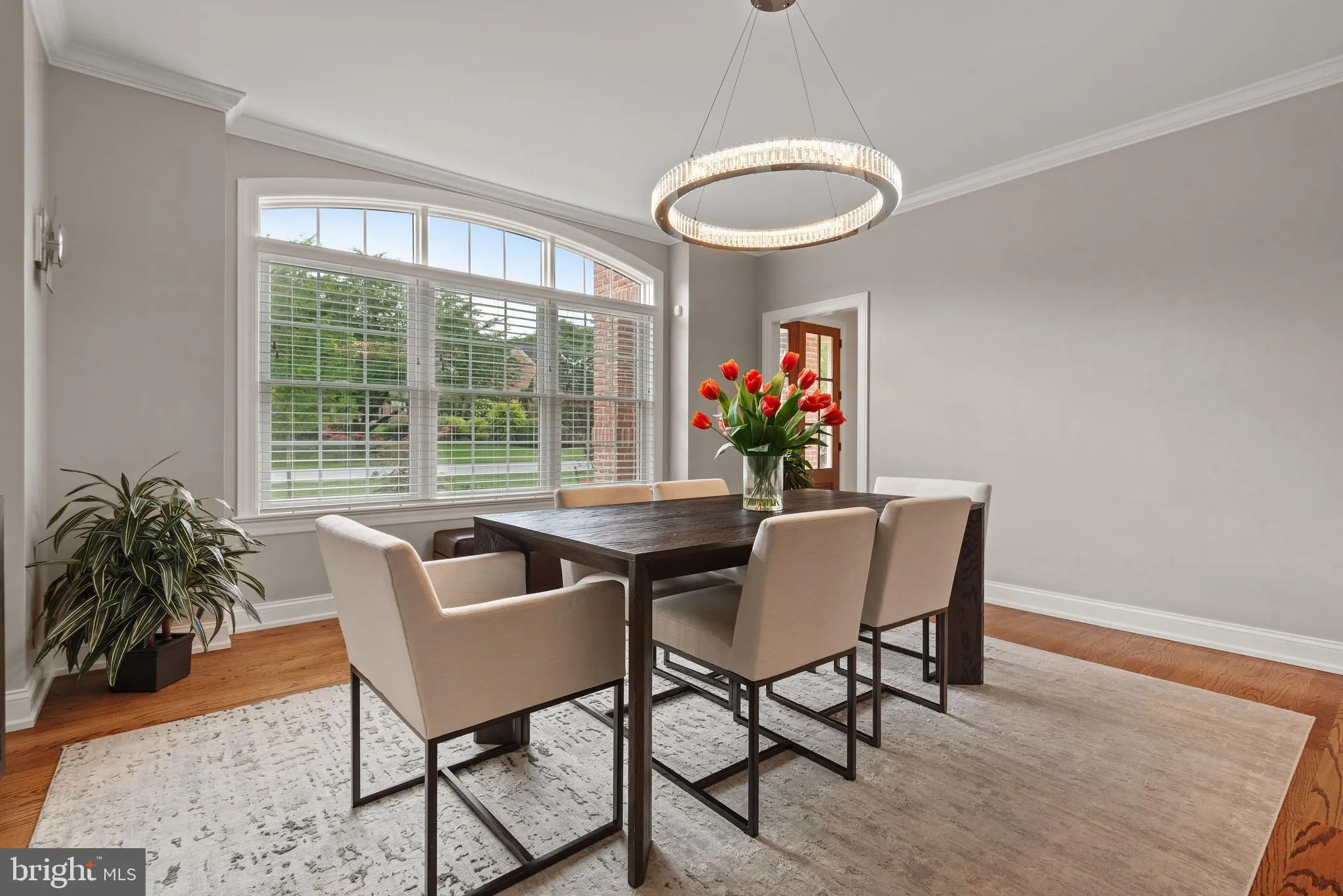 Lancaster, Pennsylvania 17601, United States, 5 Bedrooms Bedrooms, ,3 BathroomsBathrooms,Residential,Coming Soon,179935