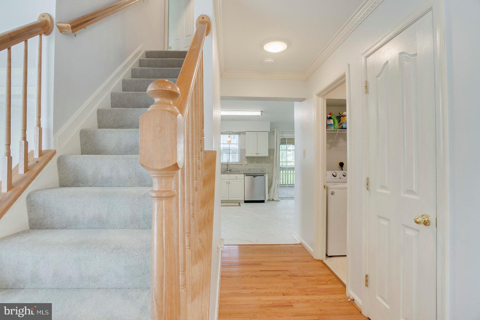 LONGWOOD - Residential