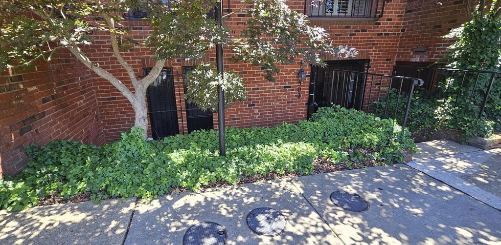 Photo of 502 Brummel Court NW, WASHINGTON, DC 20012 (MLS # DCDC2268298)