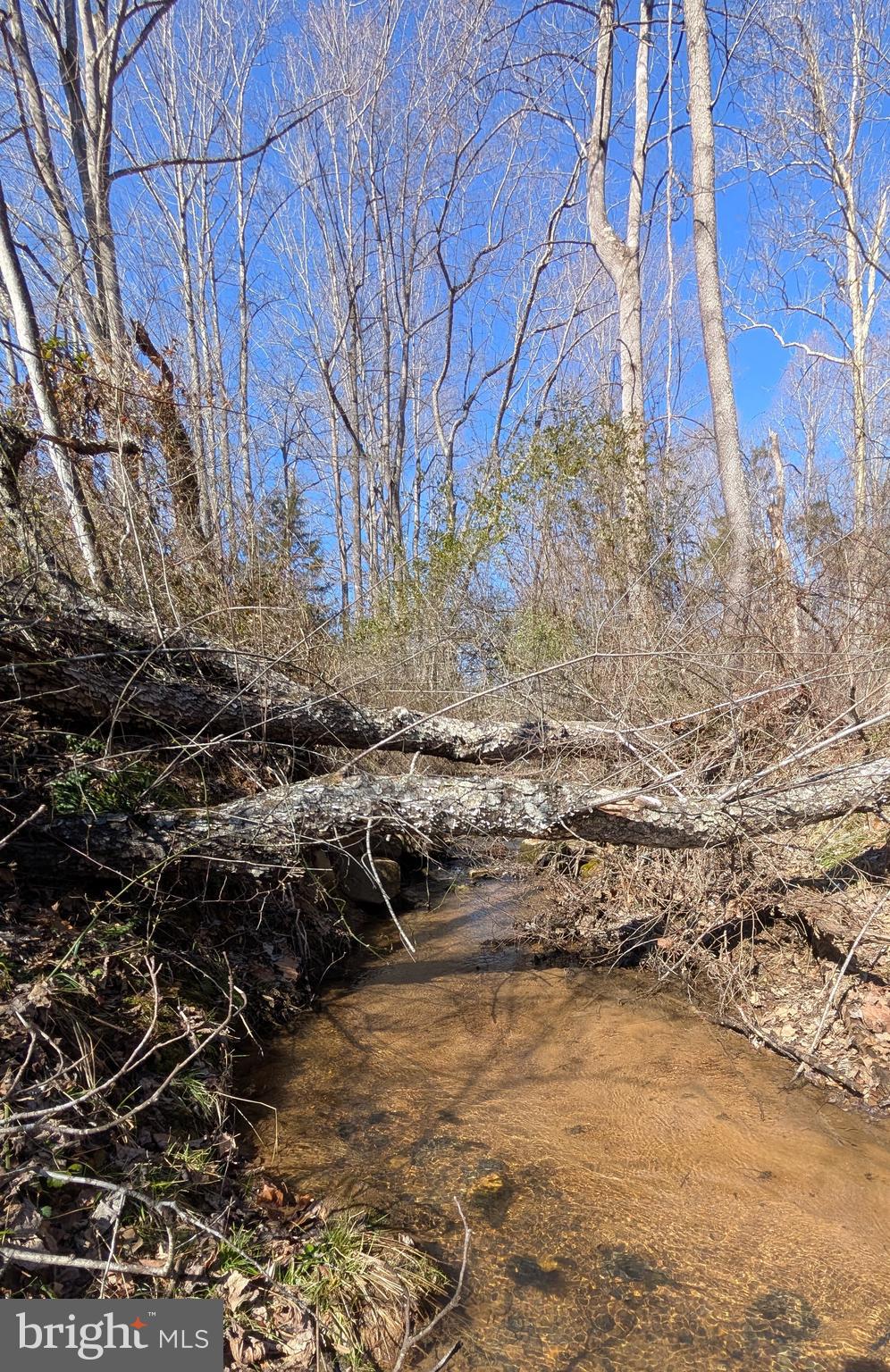 N BLUE RIDGE TURNPIKE
