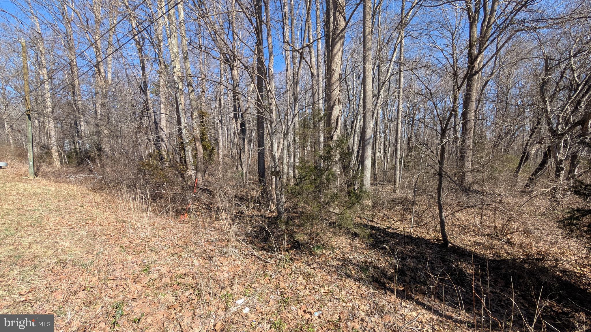 N BLUE RIDGE TURNPIKE