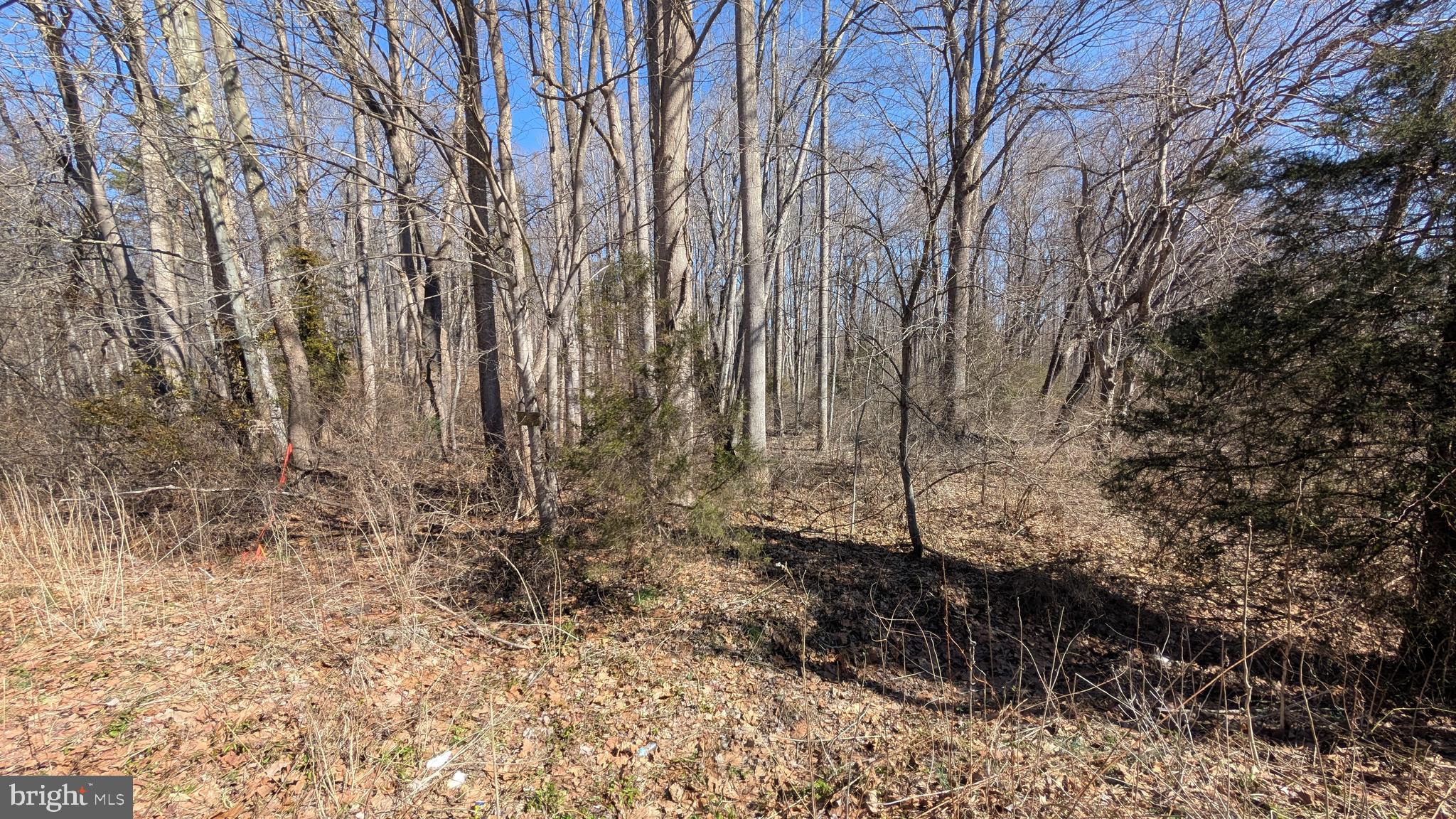 N BLUE RIDGE TURNPIKE