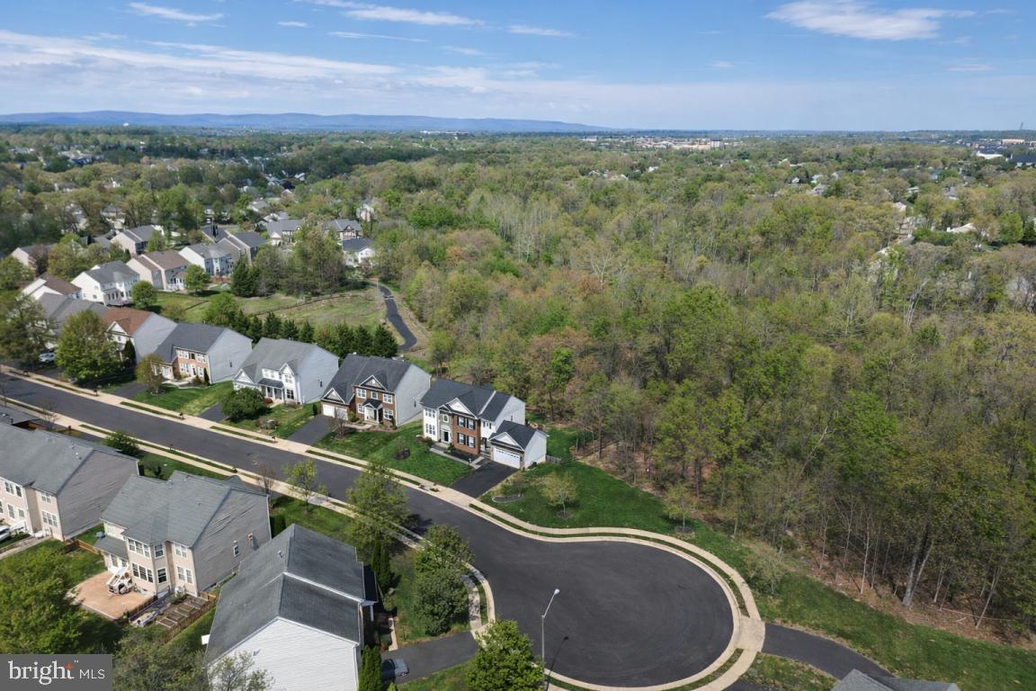 NEW DOMINION HUNT ESTATE - Residential