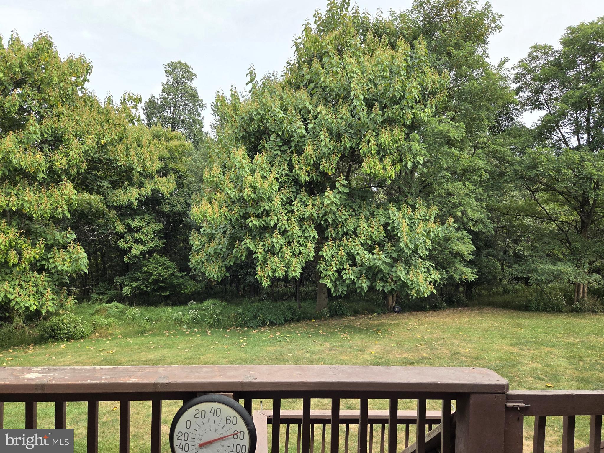 IVY RIDGE - Residential