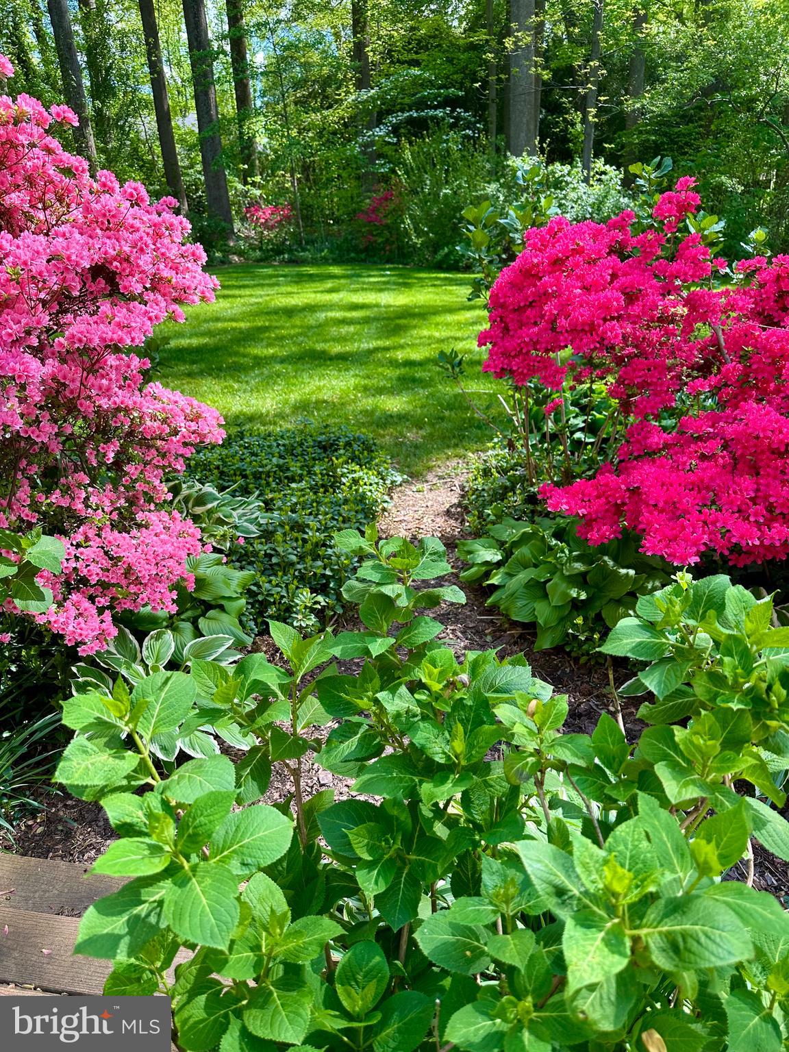 HOMEWOOD - Residential