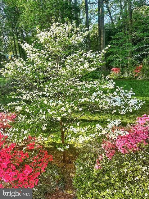 HOMEWOOD - Residential