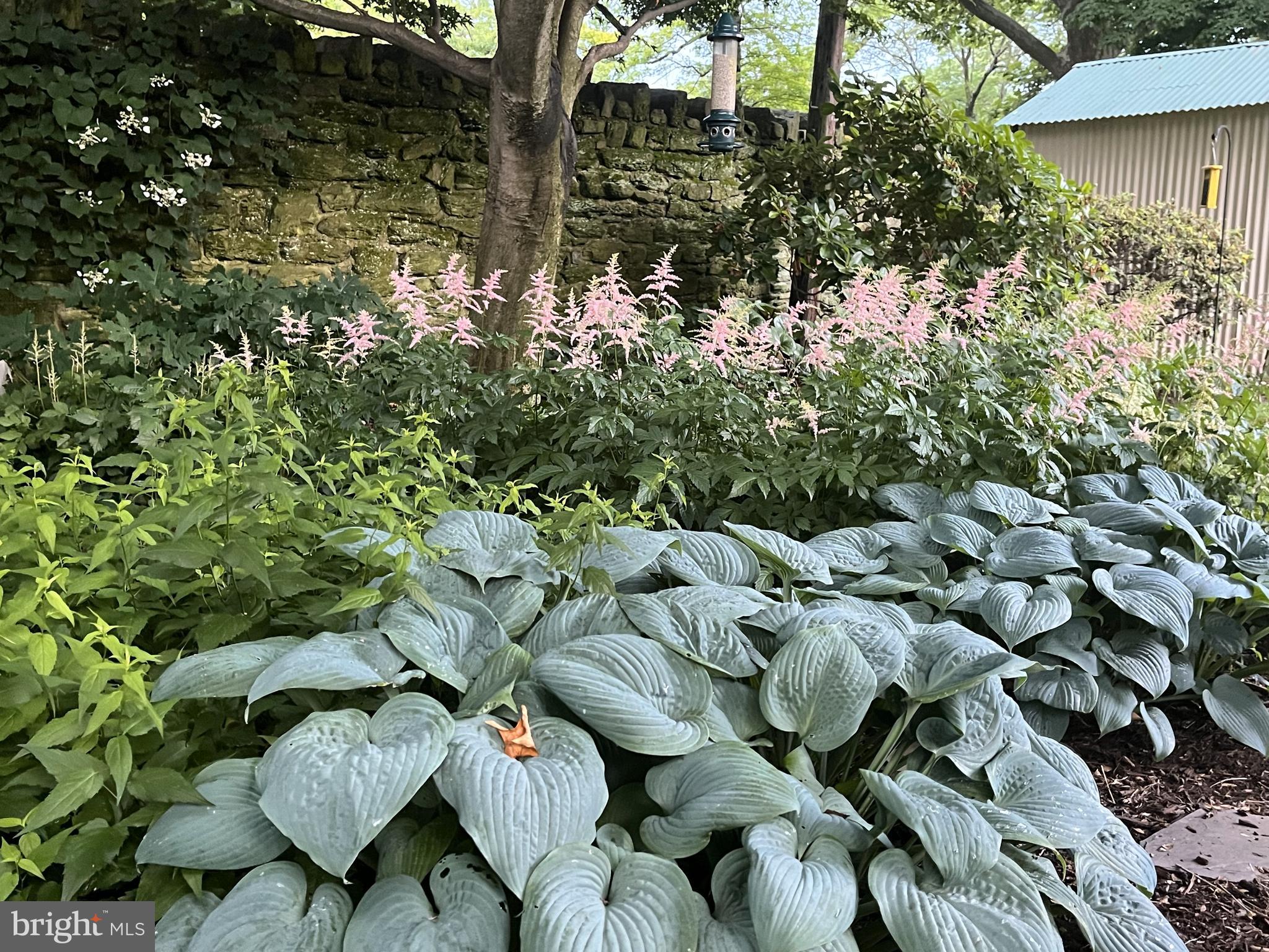 WYNCOTE - Residential