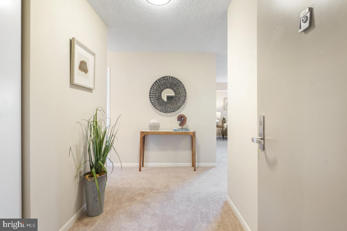 200 N PICKETT STREET 509