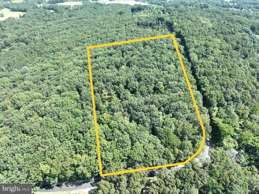 Stop scrolling—this is the one. 5.05 acres deep in Hampshire County with level ground, a perfect shape, and towering oak hardwoods that scream privacy, seclusion, and endless potential. No HOA overlords here. Unrestricted means exactly that—build your dream home or cabin, set up camp, hunt, relax, ride ATVs, create your own shooting range, or just claim it as your personal escape. Bring the RV, plant a garden, or set up a base camp for all your outdoor adventures. If you can imagine it, you can do it here.
No headaches, no nonsense—electric is close by, and access is as good as it gets. You turn directly off Hoy Road and you’re on your land—no mile-long rough roads, no getting stuck, no wasted time. This is plug-and-play land that’s ready from day one. With its combination of flat, usable ground and towering hardwoods, you’ll have the perfect blend of open space and soul-cleansing seclusion for whatever you decide to create. Located under 45 minutes from Winchester, VA, and less than two hours from Washington, D.C., this property gives you the perfect balance of fast city access with total country freedom. You can be in the woods by breakfast and at Dulles Airport by lunch. The combination of location, usability, and unrestricted rights makes this a rare find in today’s market. Land like this gets snapped up quickly. Don’t sit on your hands—move now and make it yours before someone else beats you to it. No Rules. No Limits. No Waiting.
