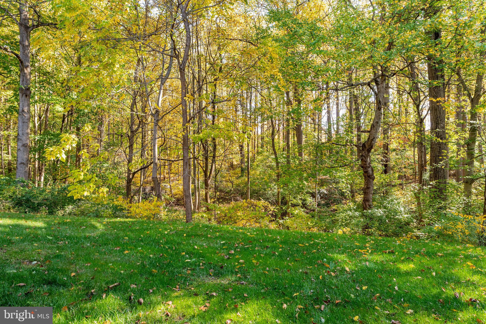 THE WOODLANDS - Residential