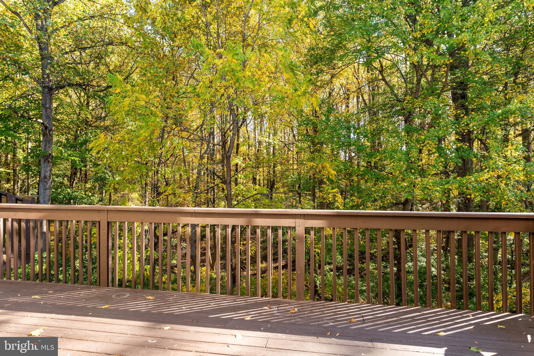 THE WOODLANDS - Residential