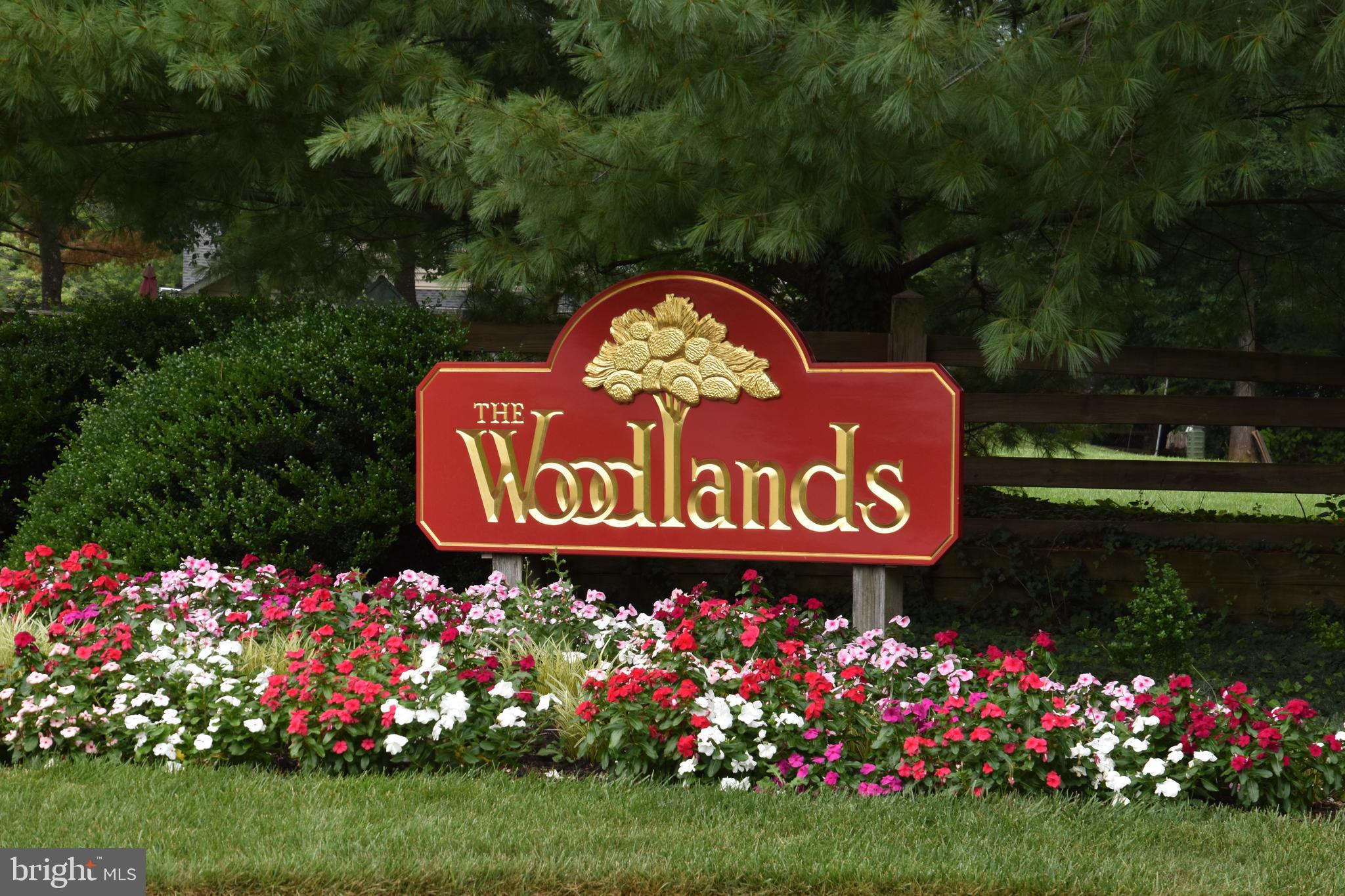THE WOODLANDS - Residential