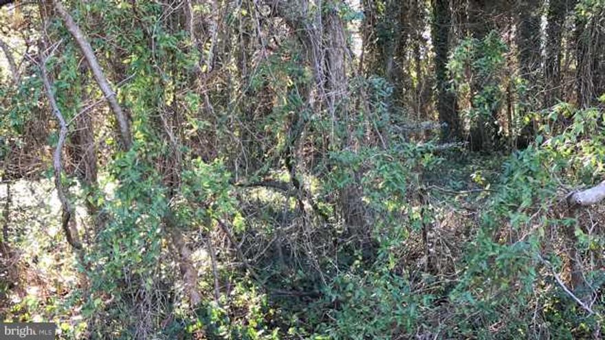 Build your dream home here! Location! Location! Location! Close to the front gate and the water's edge. Just steps from the walking trails that can lead you to the Clubhouse for dinner and a drink, fun and sun at the beach, concerts at the point, the marina and so much more!