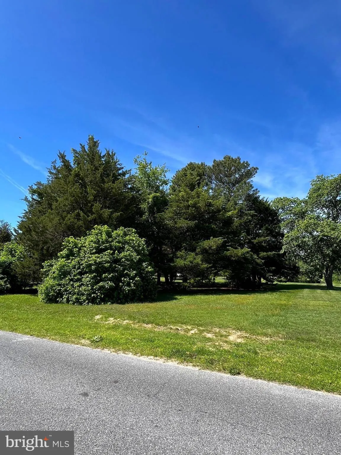 Berlin, Maryland 21811, United States, ,Land,Active,135197