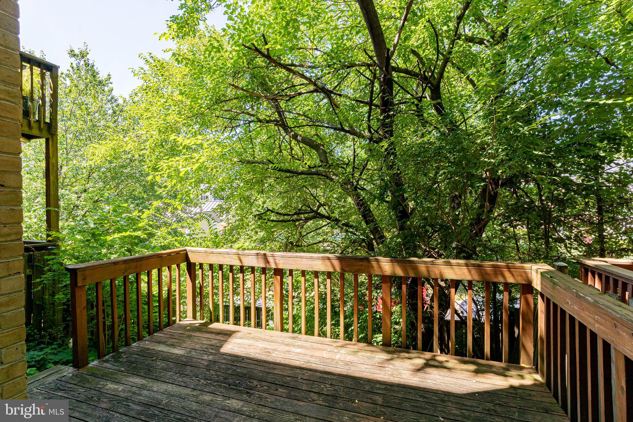 DOMINION - Residential Lease