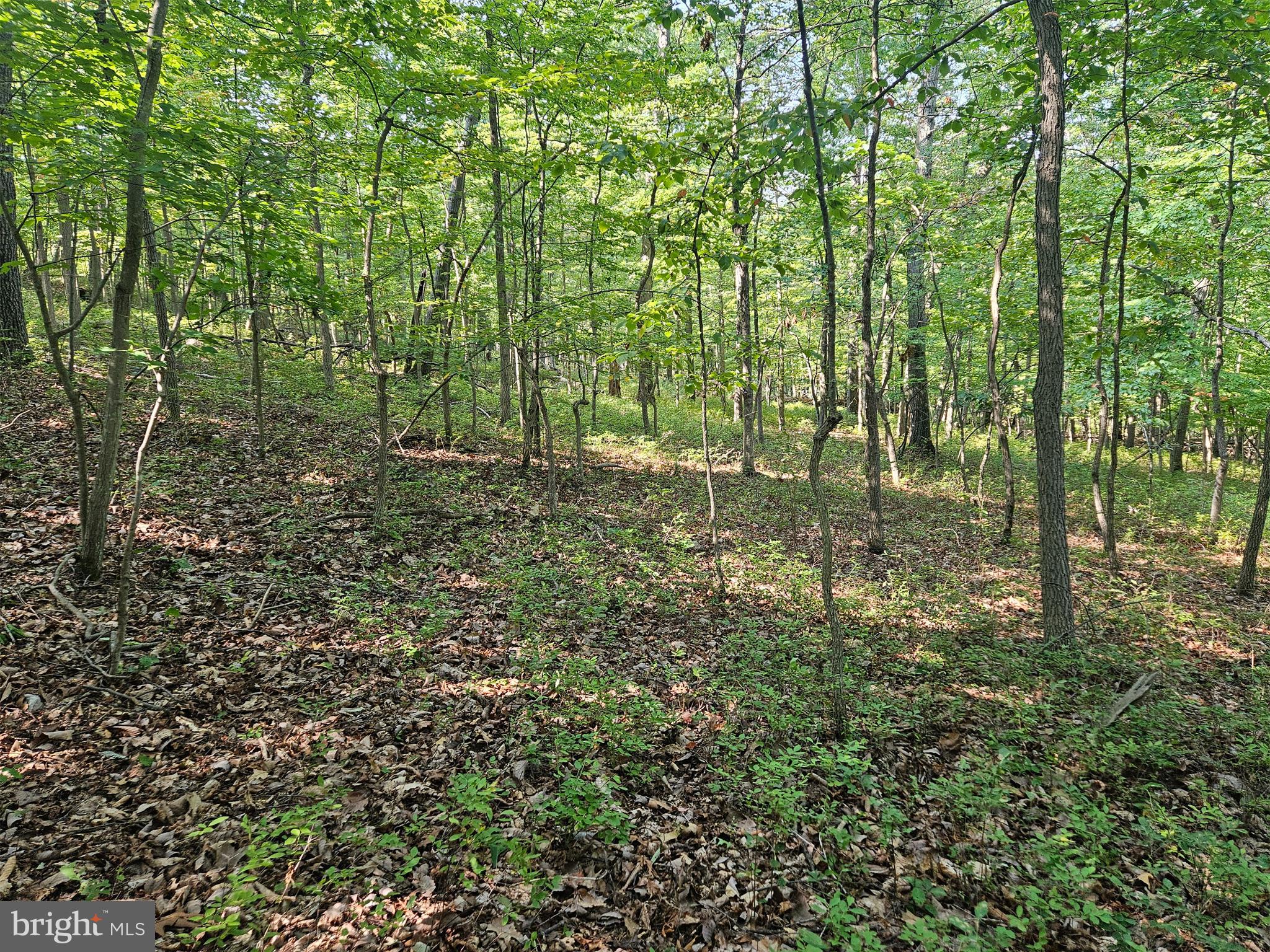 APPLE MT LAKE WEST - Land