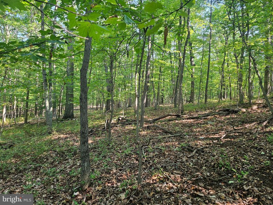 One of the best undeveloped lots in the subdivision . . . so why not turn it into your dream retreat!  A beautiful and well-proportioned 3 acre private wooded lot, newly perced for a 4 bedroom home with up to 8 person occupancy. The land slopes gently down from the road, making for an excellent home site good for a walkout basement, and an easy driveway. Very light undergrowth across the lot, plenty of wildlife, and space for kids and adults to roam and relax. With the septic drainfield area cleared, there may be seasonal views especially from a raised deck area etc. Cul-de-sac setting, serving just 4 other homes beyond this lot. All paved roads, easy access to I-66, and all facilities. Warren County boasts the historic town of Front Royal for shopping, dining and entertainment, and a multitude of opportunities for trails and water activities: the Shenandoah River; the Shenandoah National Park and the start of Skyline Drive; Shenandoah River State Park; the George Washington National Forest; and the GR Thompson Wildlife Management Area, with the Appalachian trail passing through with several access points throughout the County.