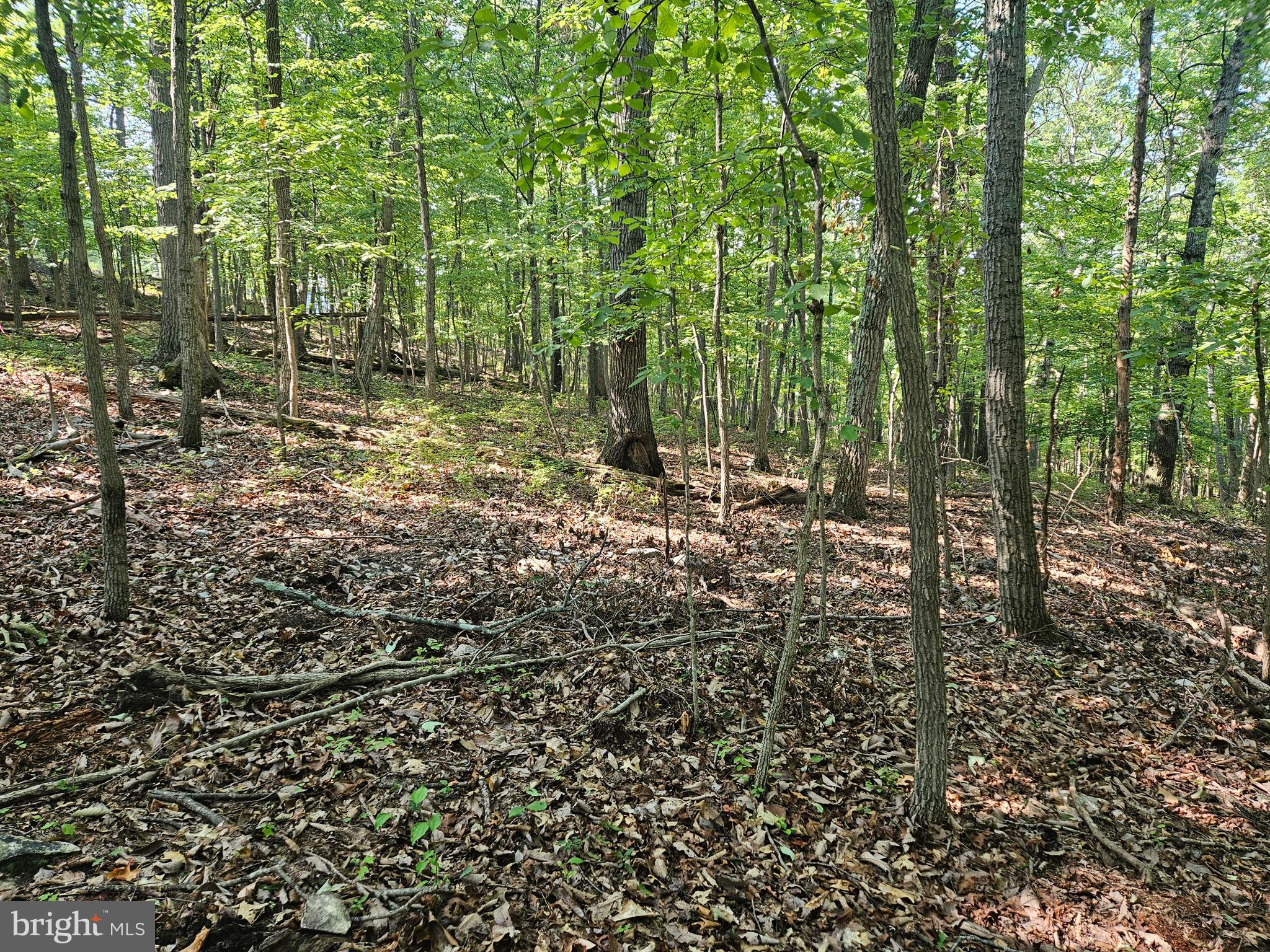 APPLE MT LAKE WEST - Land