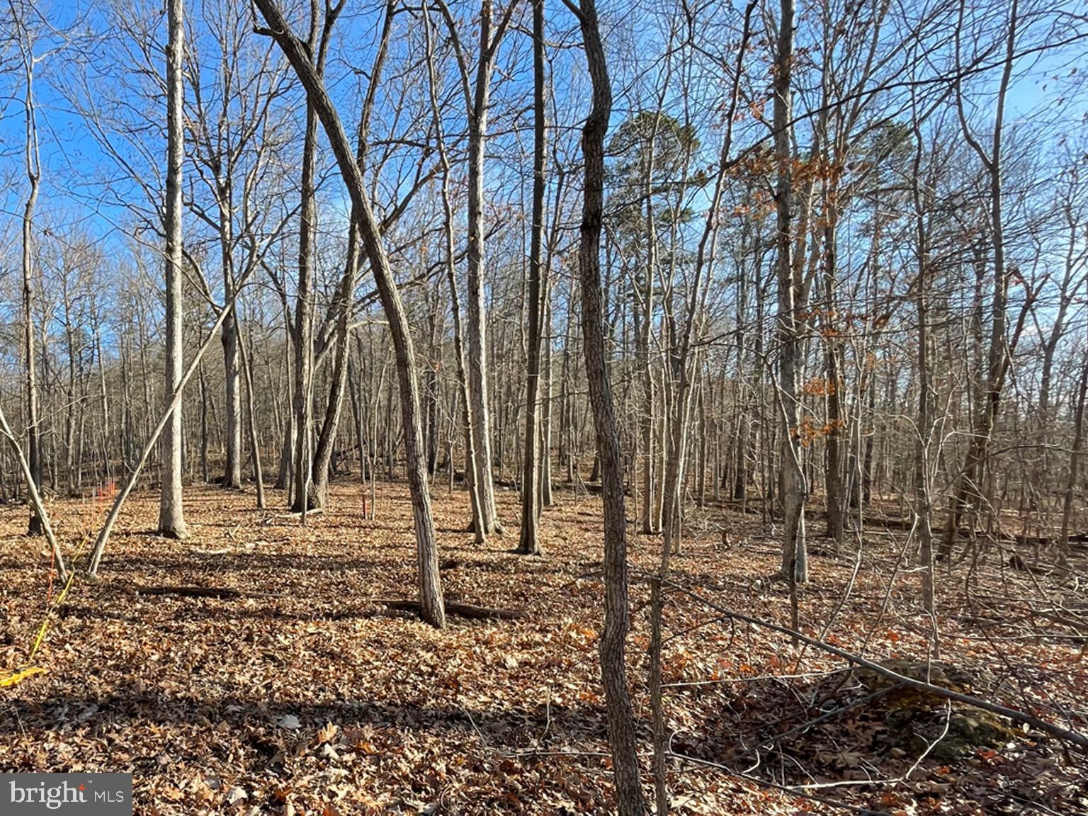 APPLE MT LAKE WEST - Land