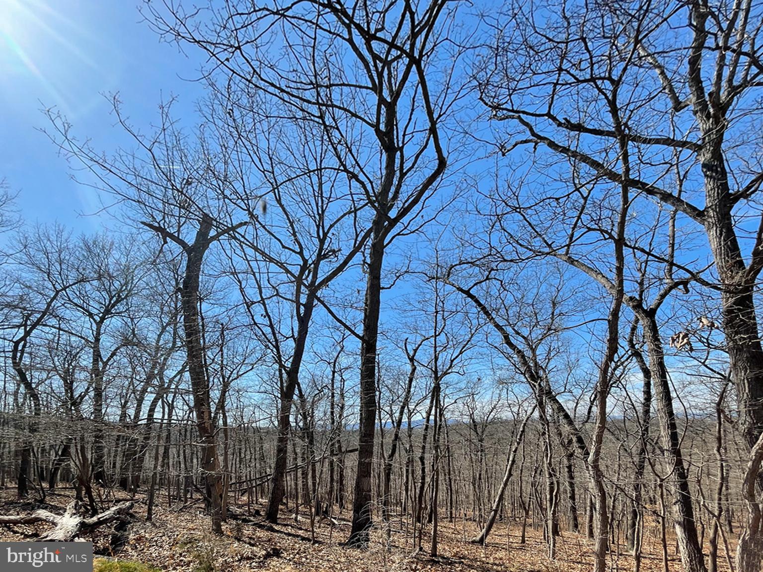 APPLE MT LAKE WEST - Land