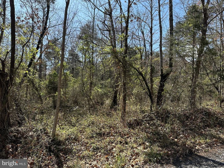 Attention Hunters or anyone looking for private wooded land. 2 Lots totaling 13.52 acres in private  area fully wooded currently used for hunting and recreation.  Deeded right of way to the property.  Entrance to the property is gated. Not far from 2 public boat landings on the Shenandoah River with shallow or deep water.  Easy access to US Route 211.  You cannot do a ride by and must have a Realtor to view this property. No turn around area at gate.