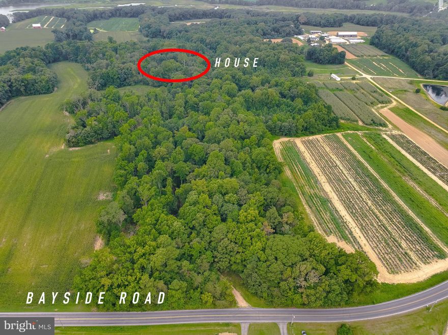 ABSOLUTELY BEAUTIFUL LOT WITH NO HOA, NO NEIGHBORS, JUST NATURE ALL AROUND.  WELL, SEPTIC ON SITE. ELECTRIC.   JUST FAR ENOUGH OUT BUT A SHORT 10-15 MINUTE DRIVE TO EVERYTHING.  CURRENT HOUSE IS NOT IN GOOD CONDITION BUT NICE FOOTPRINT.  GREAT SPOT FOR THE SAVY RENOVATOR/FLIPPER OR BUILD YOUR  DREAM HOME.